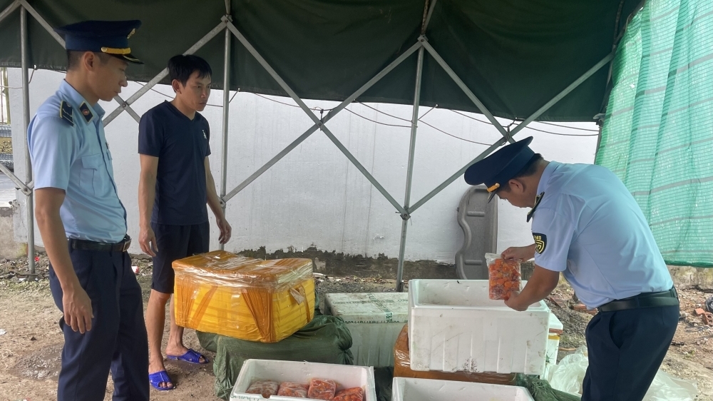 Phát hiện, thu giữ gần 01 tấn trứng gà non tại kho hàng ở TP.Móng Cái, Quảng Ninh