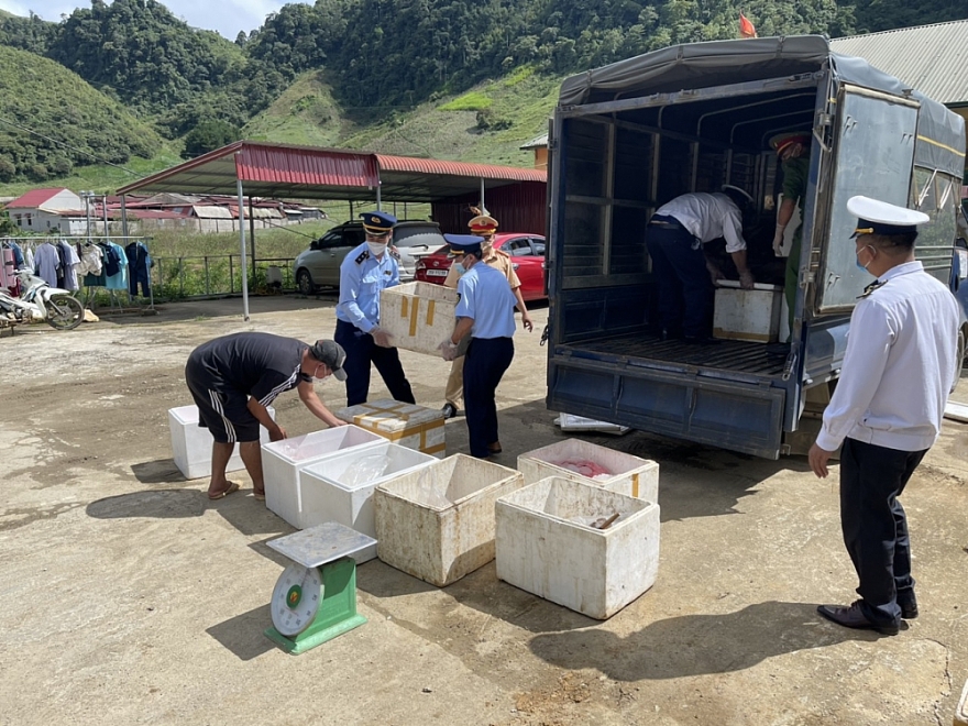 Vận chuyển 1 tấn sản phẩm động vật hôi thối vào tiêu thụ tại Sơn La