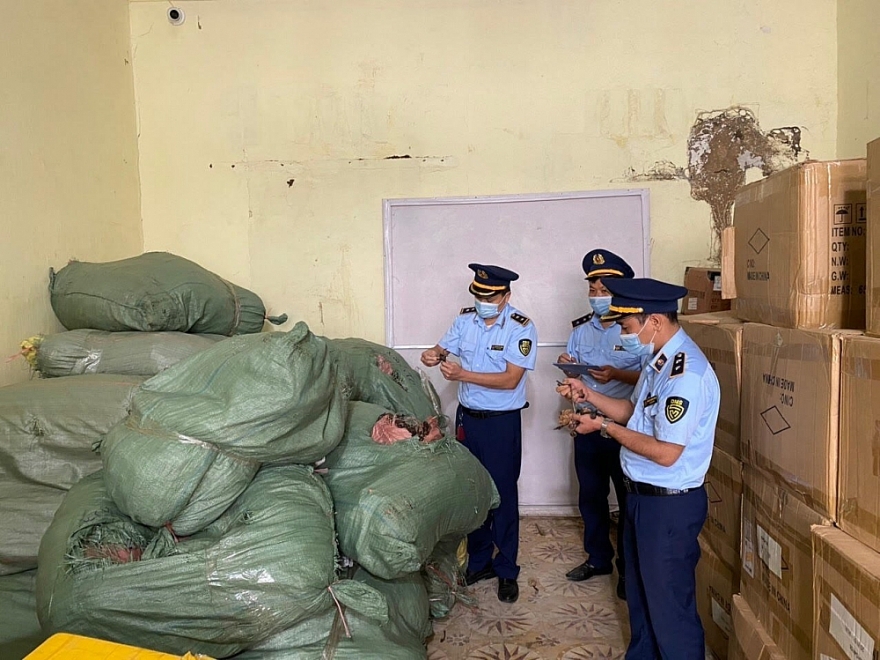 Tháo chạy sau khi Quản lý thị trường phát hiện 6 tạ nấm lim và linh chi vi phạm