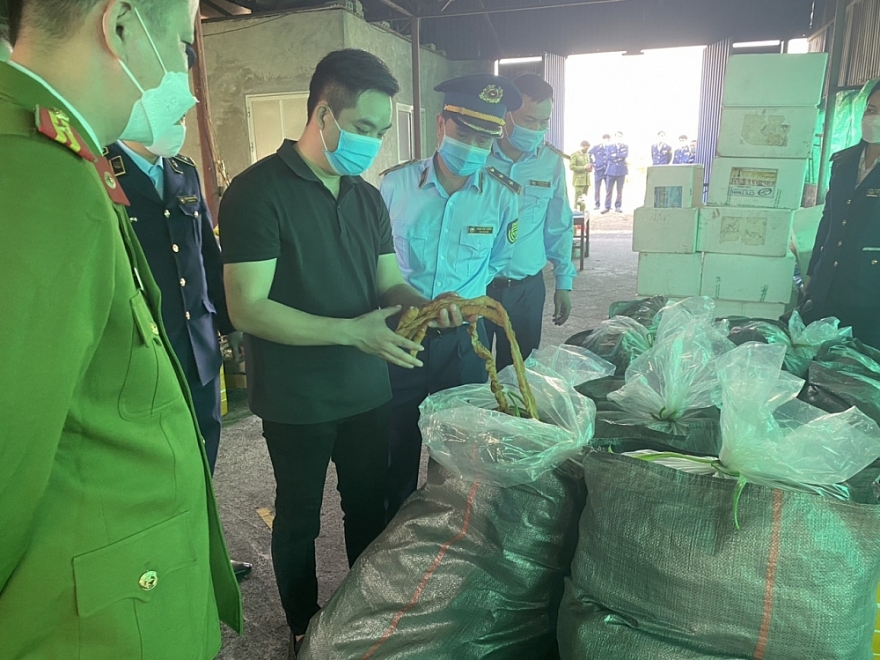 Ngăn chặn kịp thời 7,5 tấn lòng lợn nhiễm dịch tả châu Phi Ngăn chặn kịp thời 7,5 tấn lòng lợn nhiễm dịch tả châu Phi