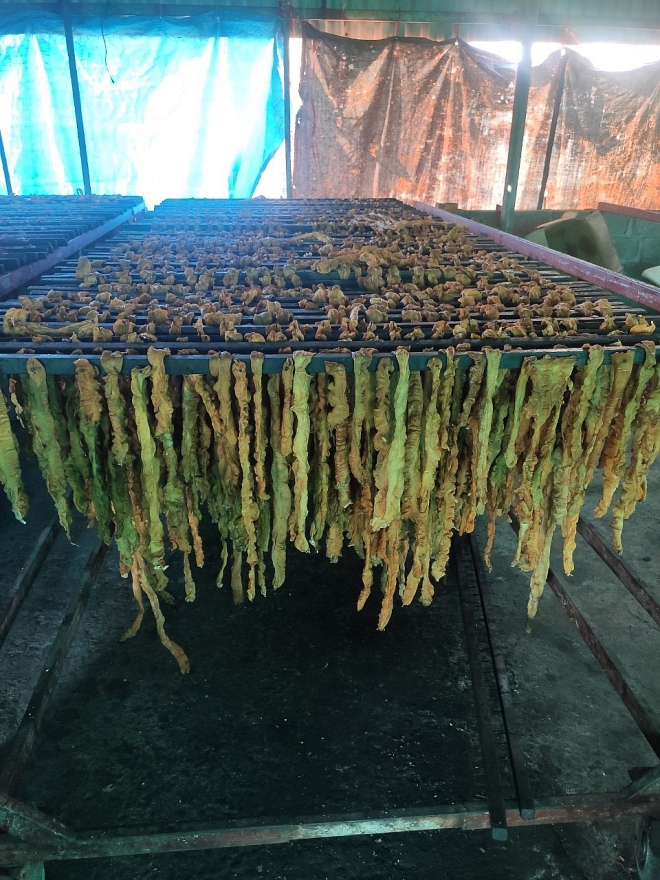 Ngăn chặn kịp thời 7,5 tấn lòng lợn nhiễm dịch tả châu Phi Ngăn chặn kịp thời 7,5 tấn lòng lợn nhiễm dịch tả châu Phi