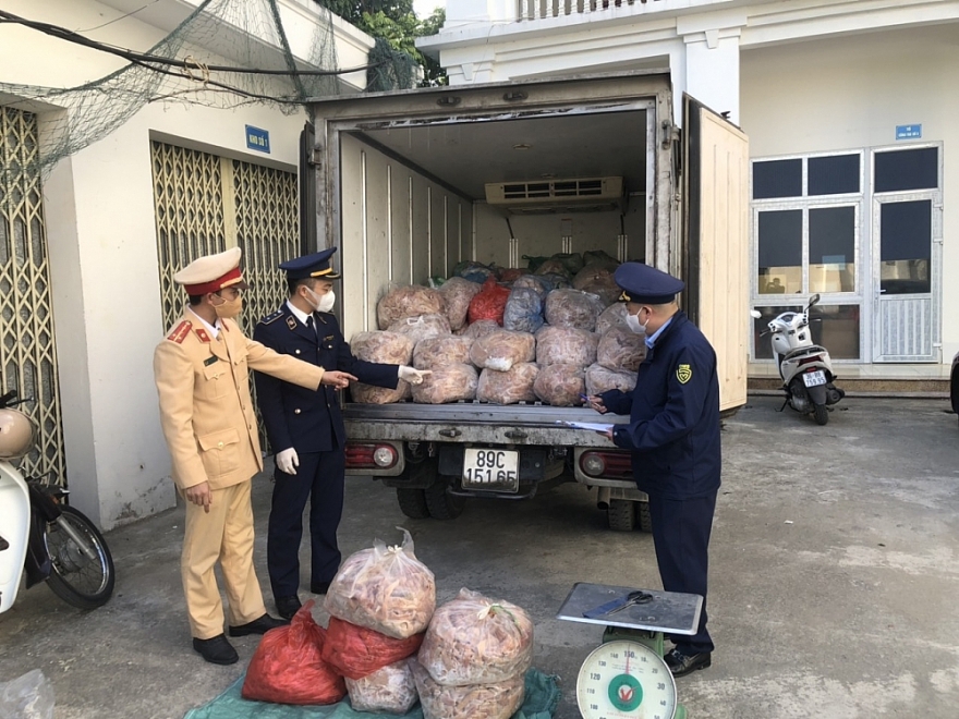 Thu giữ 1,4 tấn bì lợn đông lạnh không rõ nguồn gốc xuất xứ