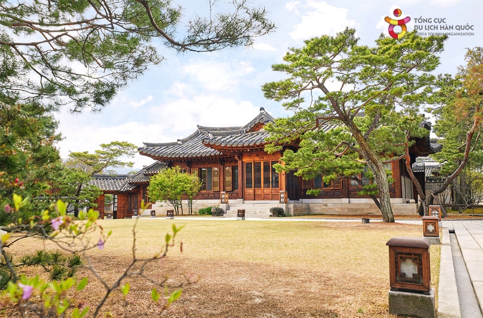 Từ ngày 1/6, Hàn Quốc cấp lại visa ngắn hạn cho du khách Việt Nam