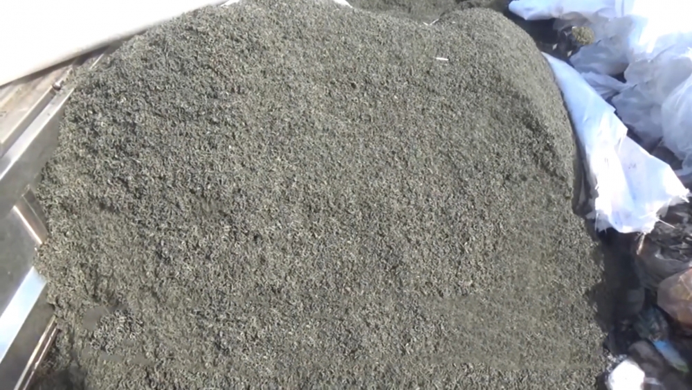 Bạc Liêu: Tiêu hủy 1,5 tấn trà không rõ nguồn gốc