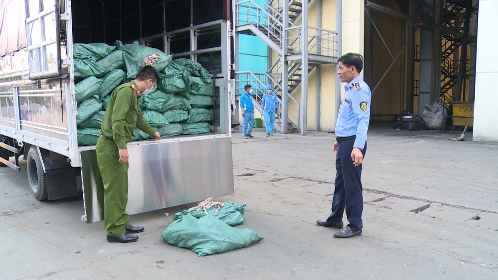 Hà Nội phát hiện hơn 3 tấn chân gà bẩn chuẩn bị tuồn ra thị trường Hà Nội phát hiện hơn 3 tấn chân gà bẩn chuẩn bị tuồn ra thị trường