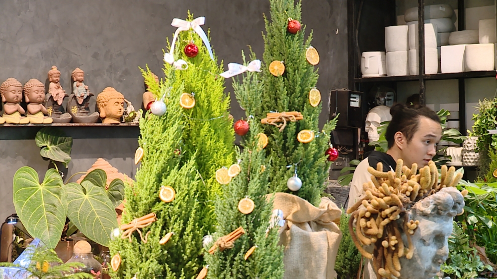 Thông tươi được nhiều người dân ưa chuộng