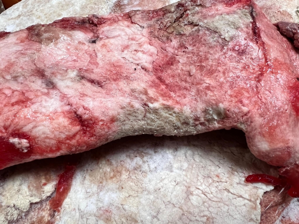 QLTT Hà Nội thu giữ hơn nửa tấn nầm lợn đang trong quá trình phân huỷ