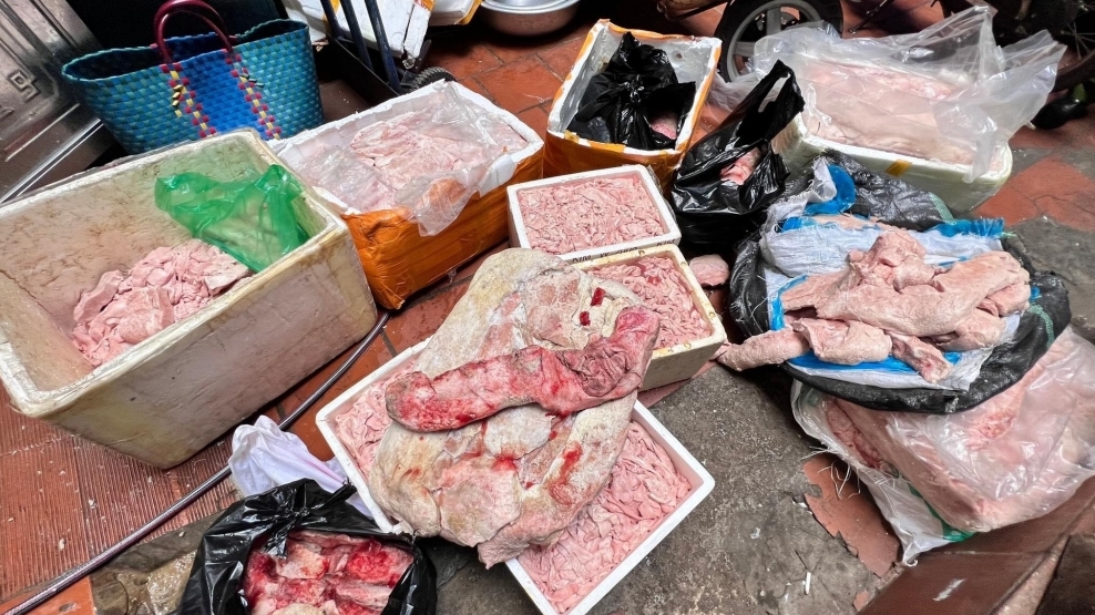 QLTT Hà Nội thu giữ hơn nửa tấn nầm lợn đang trong quá trình phân huỷ