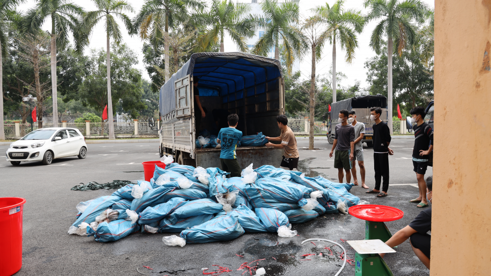 Bắt giữ hơn 3 tấn cá tầm không rõ nguồn gốc tại Lào Cai