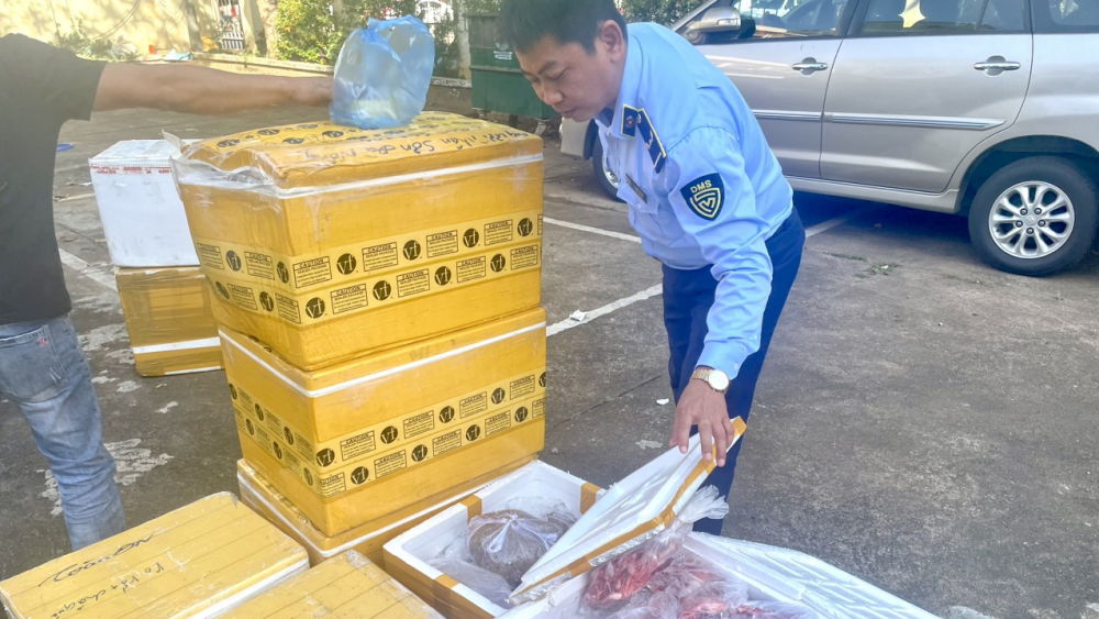Bắt xe tải chở hơn 1 tấn thực phẩm không rõ nguồn gốc, xuất xứ