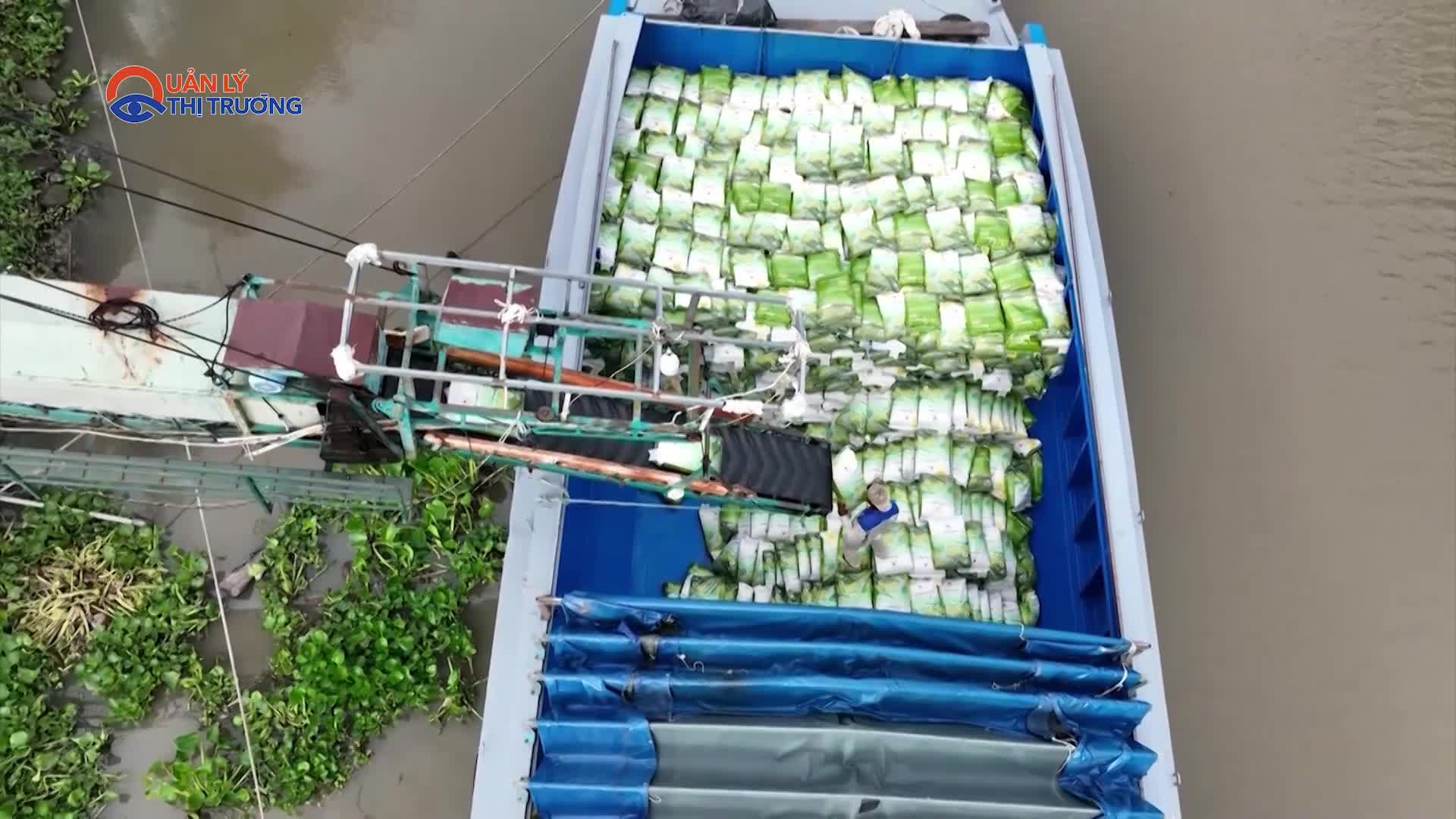 Giá gạo xuất khẩu tăng cao nhất 10 năm qua