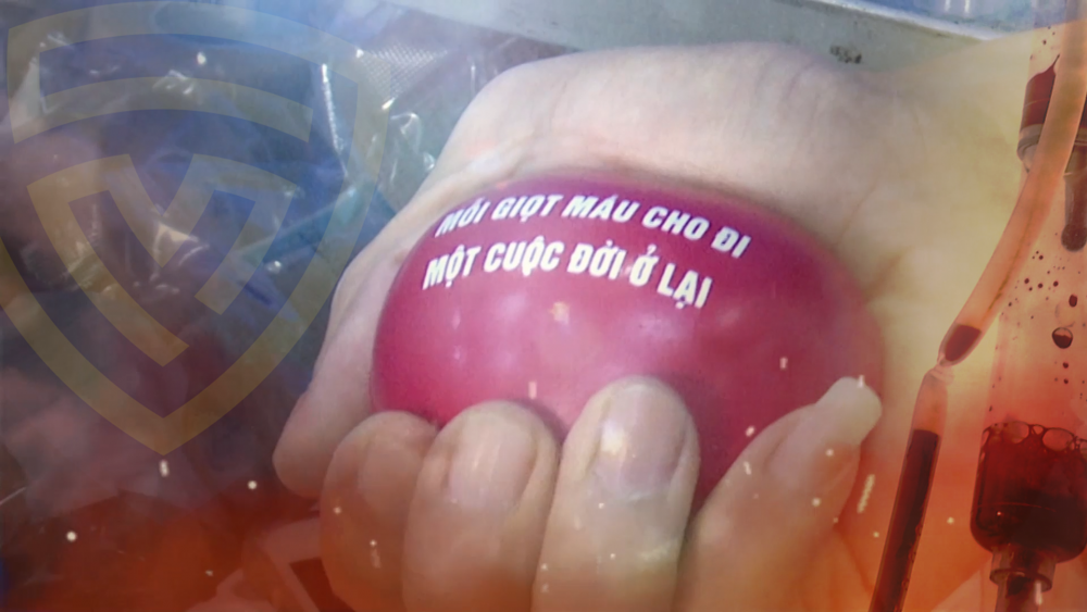 Hiến máu hôm nay - Sức khỏe ngày mai