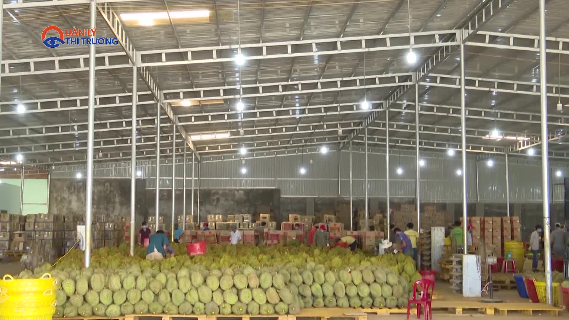 Xuất khẩu rau quả tăng đột biến, dự báo cán hơn 4 tỷ USD