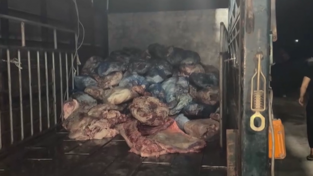 Thu giữ hơn 4 tấn sản phẩm động vật không đảm bảo an toàn thực phẩm