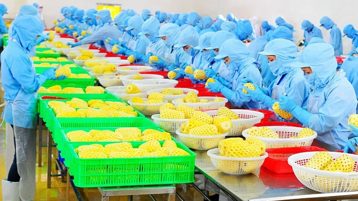 Xuất khẩu rau quả tăng cao kỷ lục