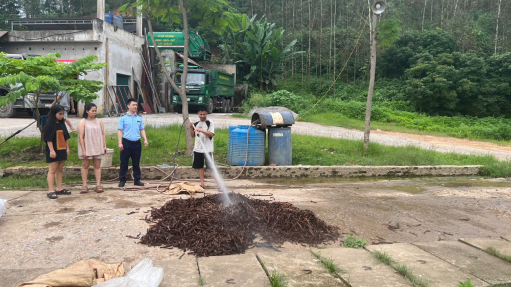 Giám sát tiêu hủy trên 1 tấn măng không rõ nguồn gốc