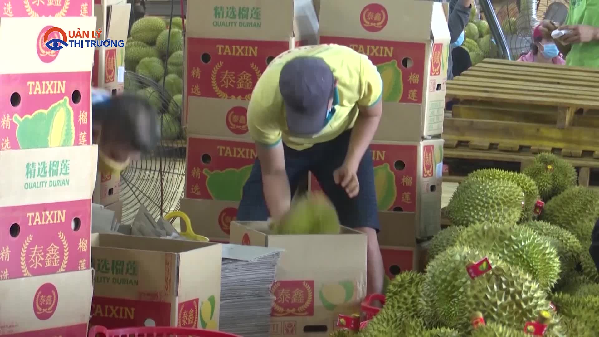 Xuất khẩu sầu riêng năm 2023 sẽ cán đích sớm