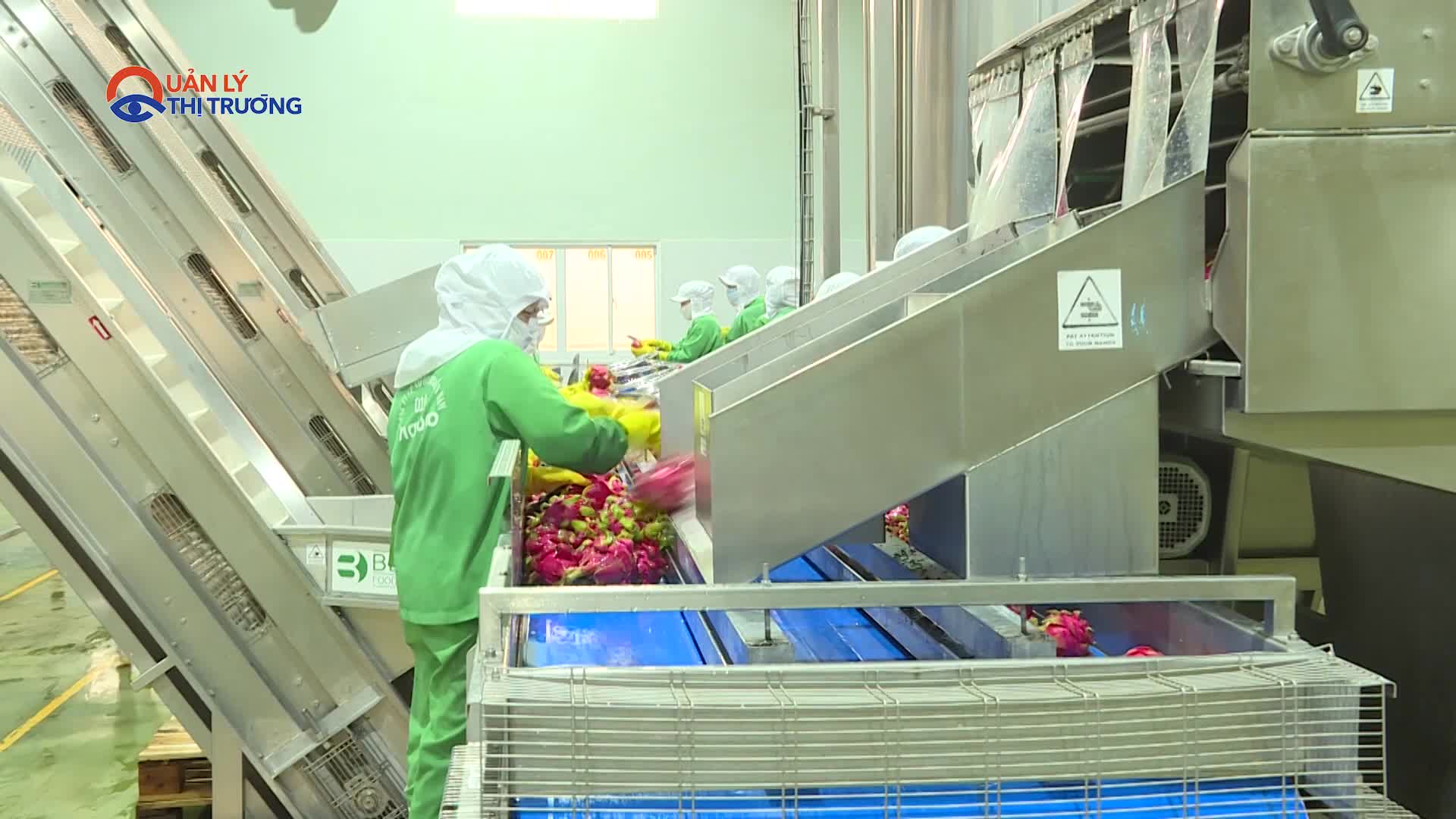 Xuất khẩu rau quả 7 tháng dự báo vượt qua con số của cả năm ngoái