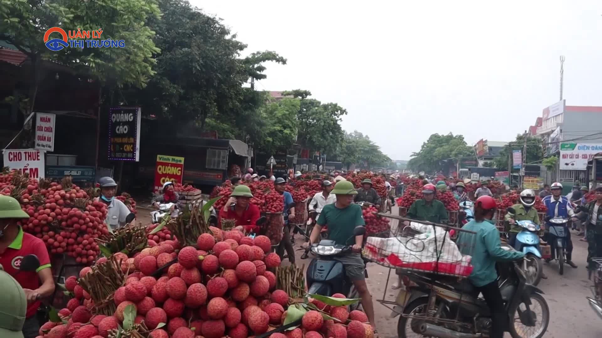 Bắc Giang thu hơn 6.800 tỷ đồng từ vụ vải thiều năm 2023