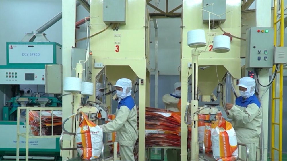 Phóng sự: Tăng cường kiểm tra, kiểm soát nguồn cung, giá bán mặt hàng gạo