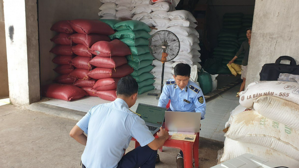 Phóng sự: Bộ Công Thương đưa ra giải pháp xuất khẩu gạo bền vững
