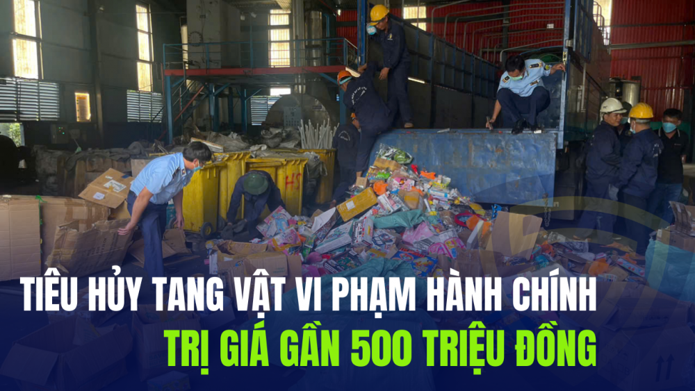 Bình Định: Tiêu hủy tang vật vi phạm hành chính trị giá gần 500 triệu đồng