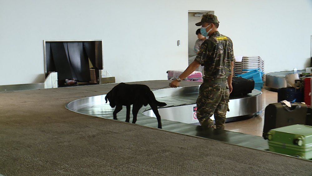 Tăng cường công tác chống buôn lậu qua cảng hàng không quốc tế Nội Bài