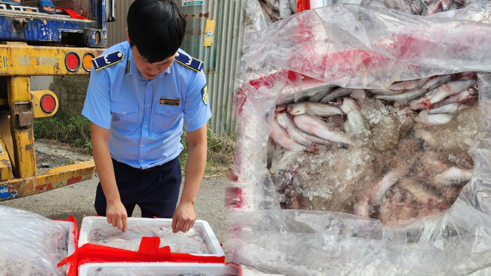 Phát hiện trên 4,5 tấn cá khoai dương tính với chất formol