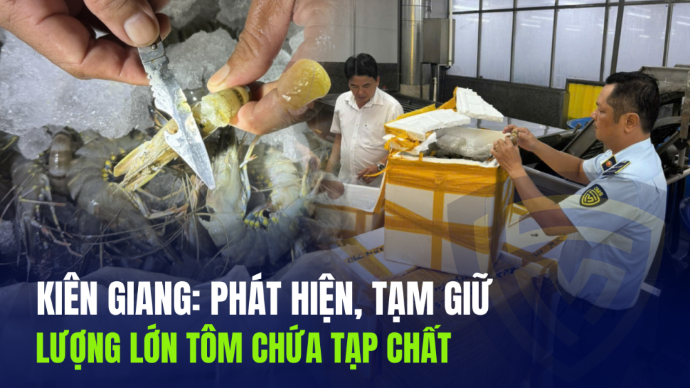 Kiên Giang: Phát hiện, tạm giữ lượng lớn tôm chứa tạp chất